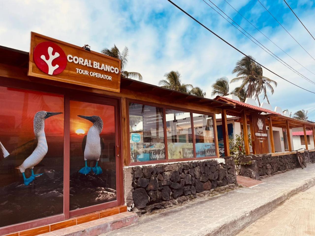 Hotel Coral Blanco With High Speed Internet Starlink And Galapagos Tour Operator Puerto Villamil Eksteriør billede