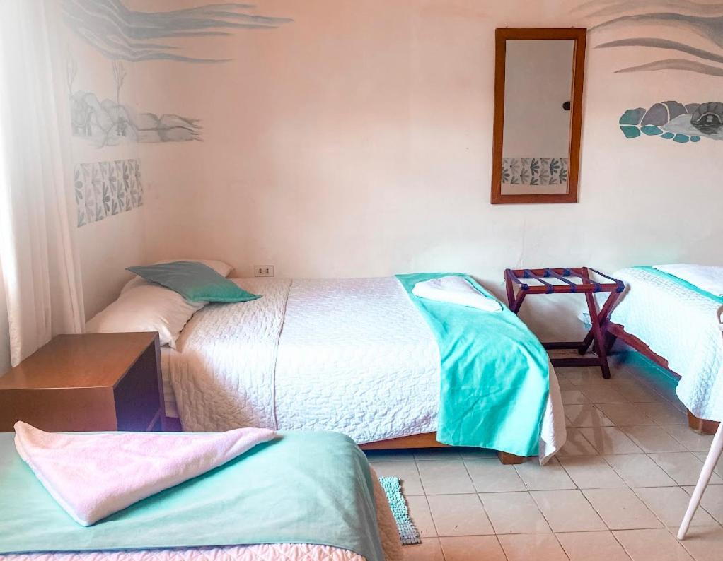 Hotel Coral Blanco With High Speed Internet Starlink And Galapagos Tour Operator Puerto Villamil Eksteriør billede